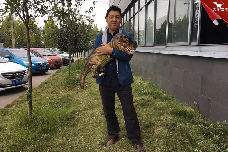 恐龍手偶，抱在手里的恐龍